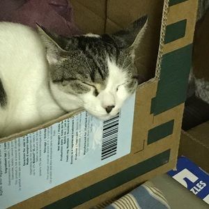 Meet your Posher, Amy